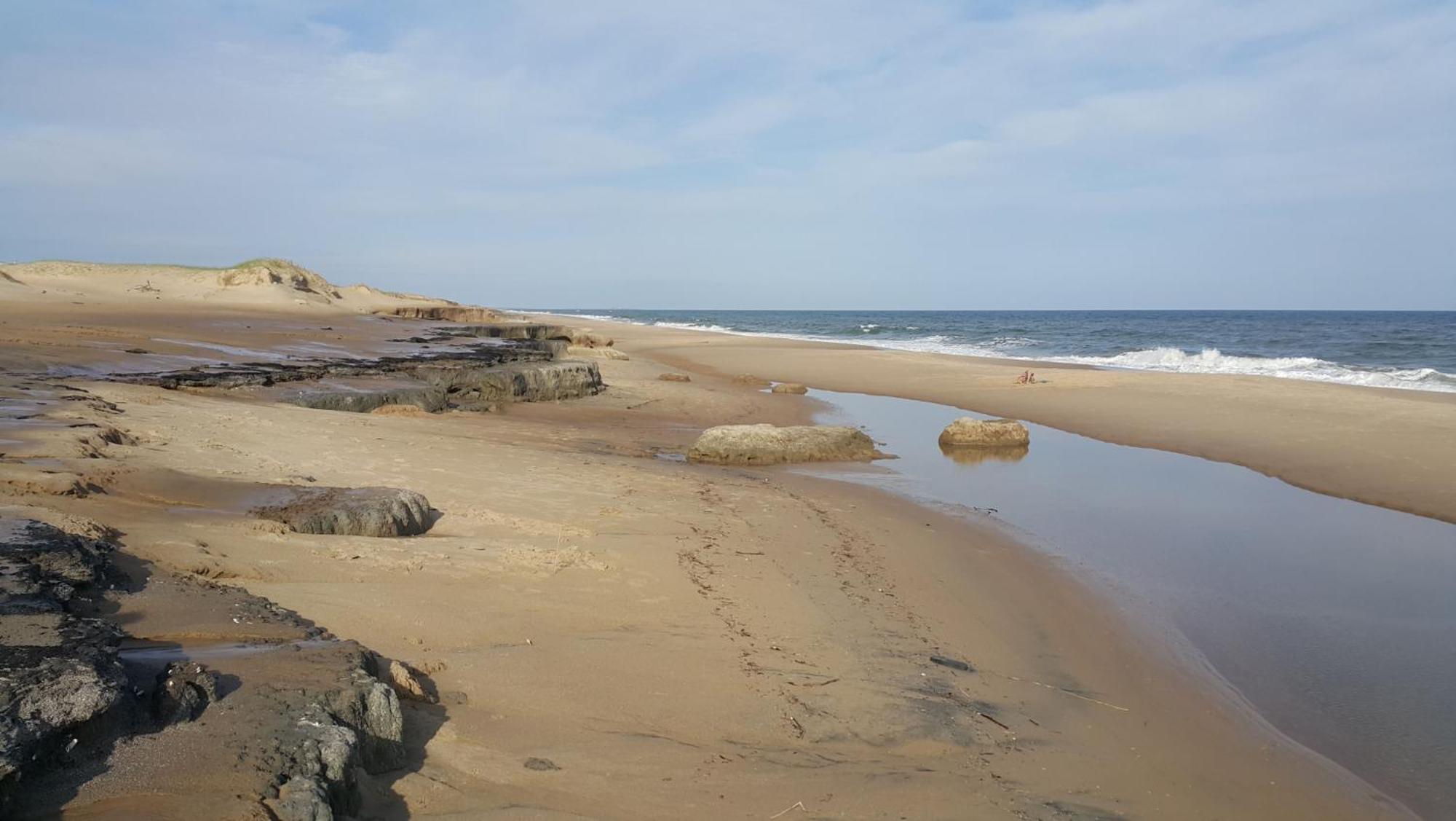 Posada Buscavida Close To Cabo Polonio, Oceania Del Polonio Rincón de los Oliveras Exteriör bild